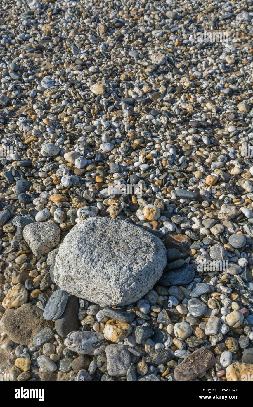 Larger rock (possibly made of concrete) alone on shingle bed composed of smaller stones & pebbles. For 'Last Man Standing', leave no stone unturned Stock Photo