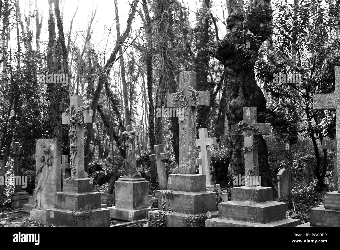 Old English Cemetery Stock Photo Alamy old-english-cemetery-stock-photo-alamy