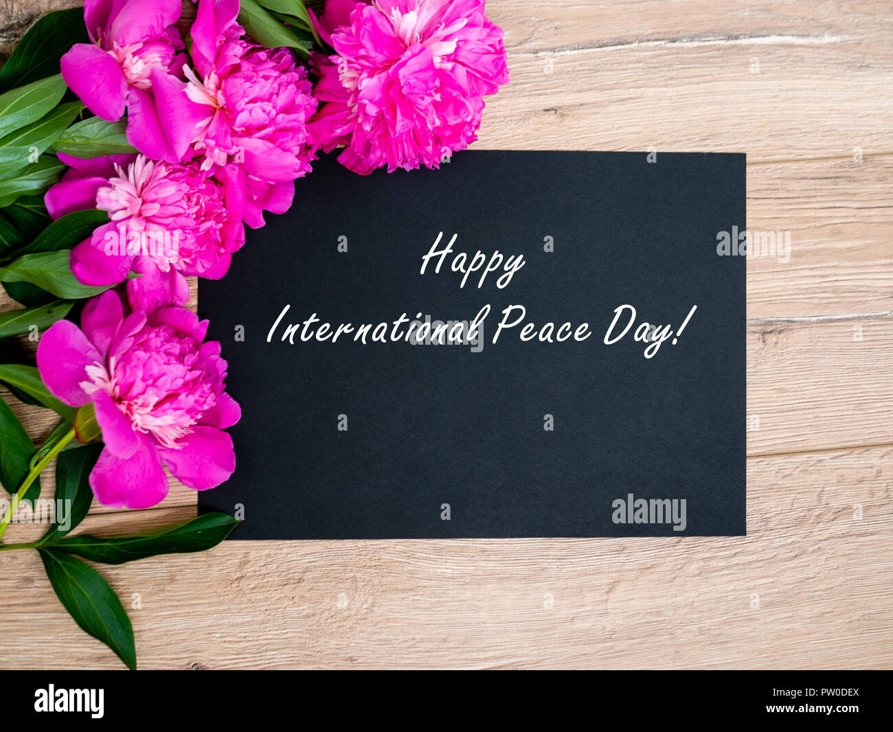 Holiday card Happy Internetional Peace Day. Pink floral assorted pink flower on wooden background with black paper free space, copy space for text. Stock Photo