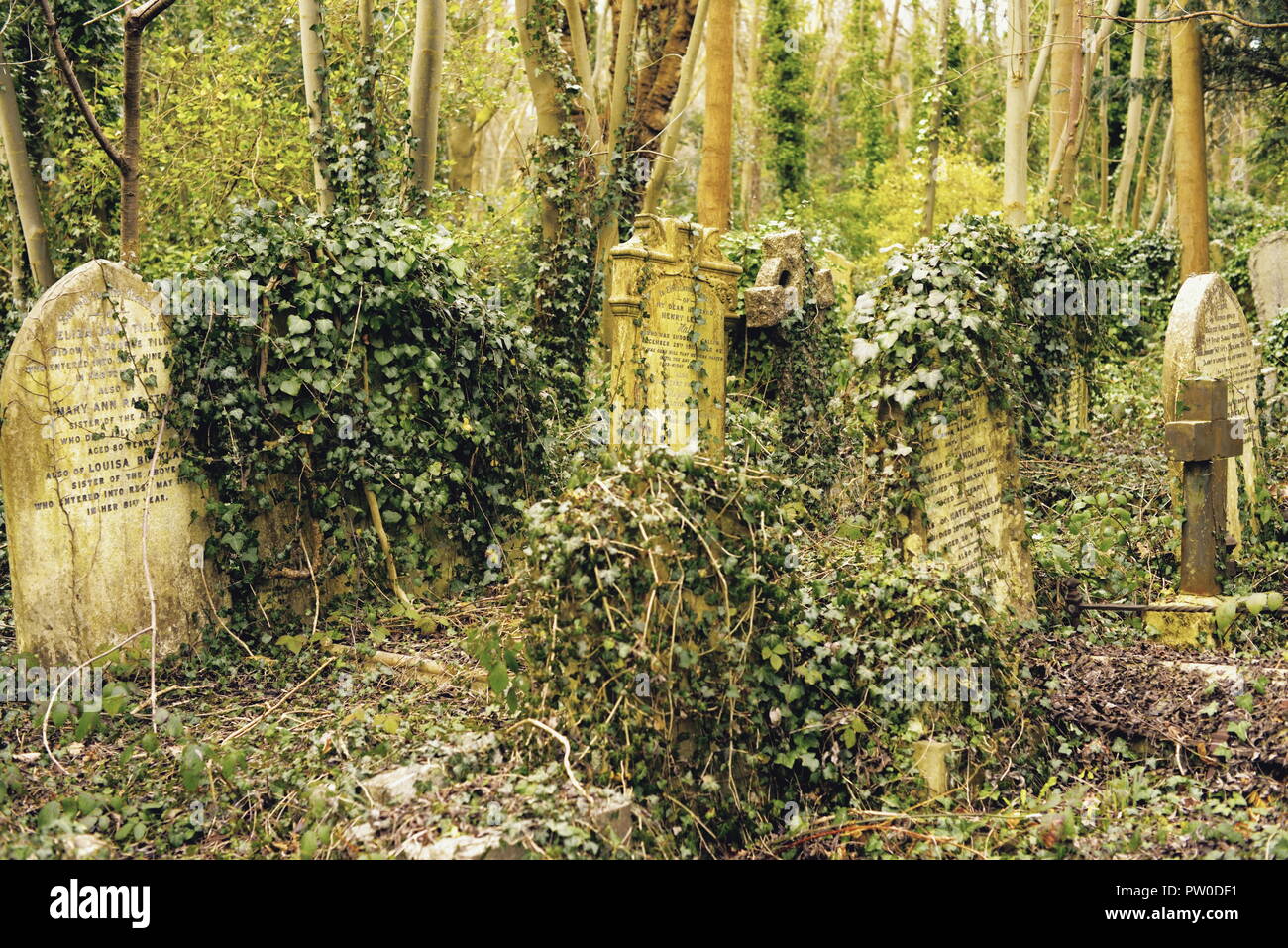 old english cemetery Stock Photo Alamy