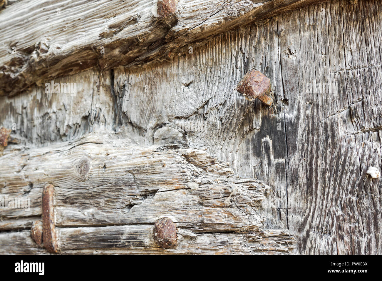 detail at weathered pine wood on a pine tree trunk . close up Stock Photo