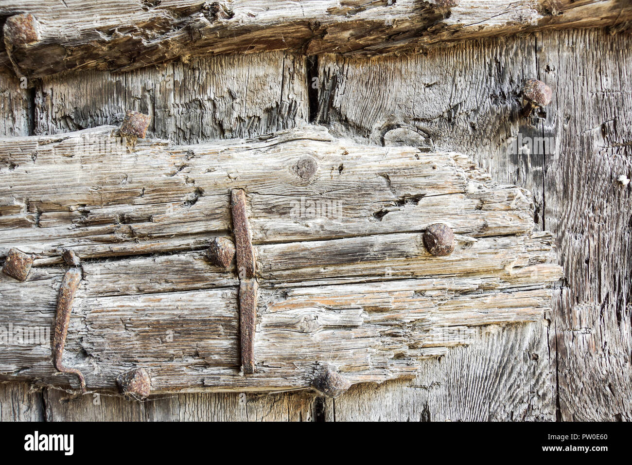 detail at weathered pine wood on a pine tree trunk . close up Stock Photo