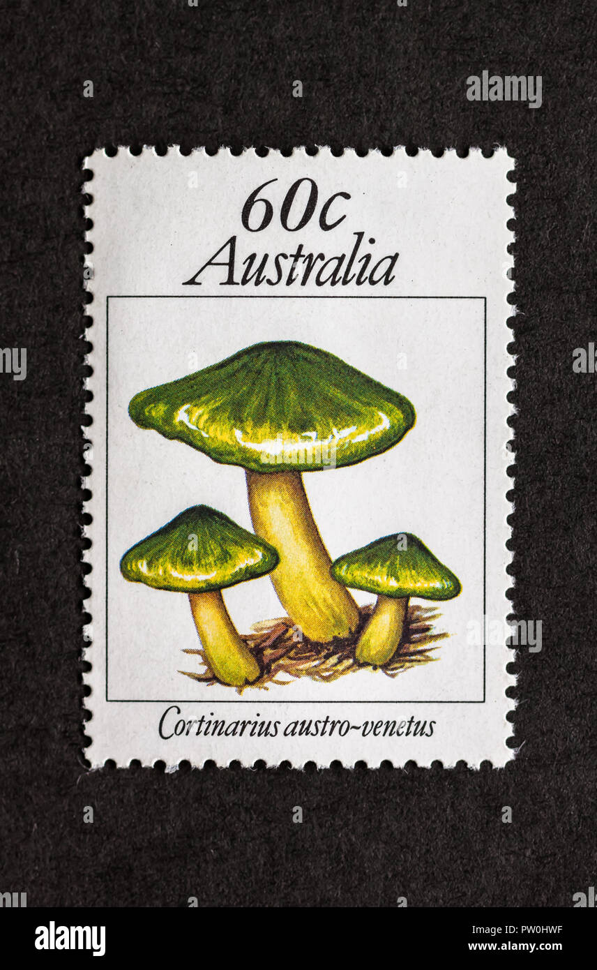Australian mint stamp depicting green skinhead mushroom (Cortinarius austrovenetus) Stock Photo