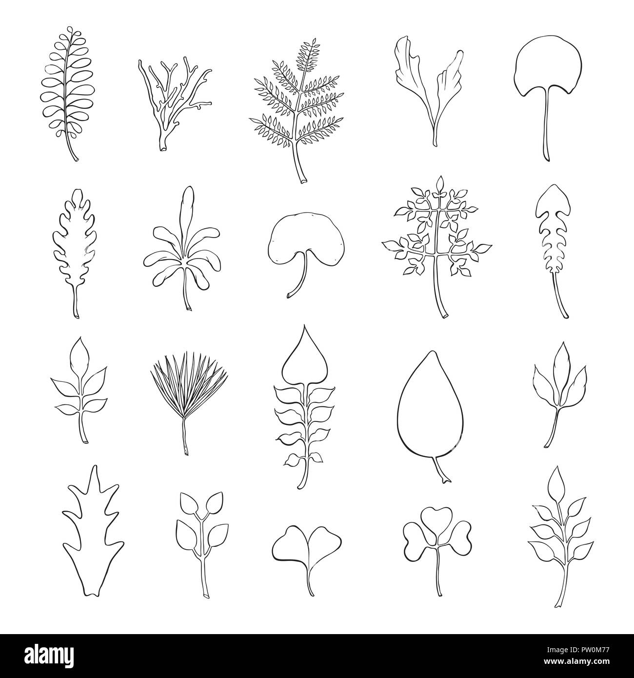 types-of-leaf-outline-leaves-of-different-types-stock-vector-image-art-alamy