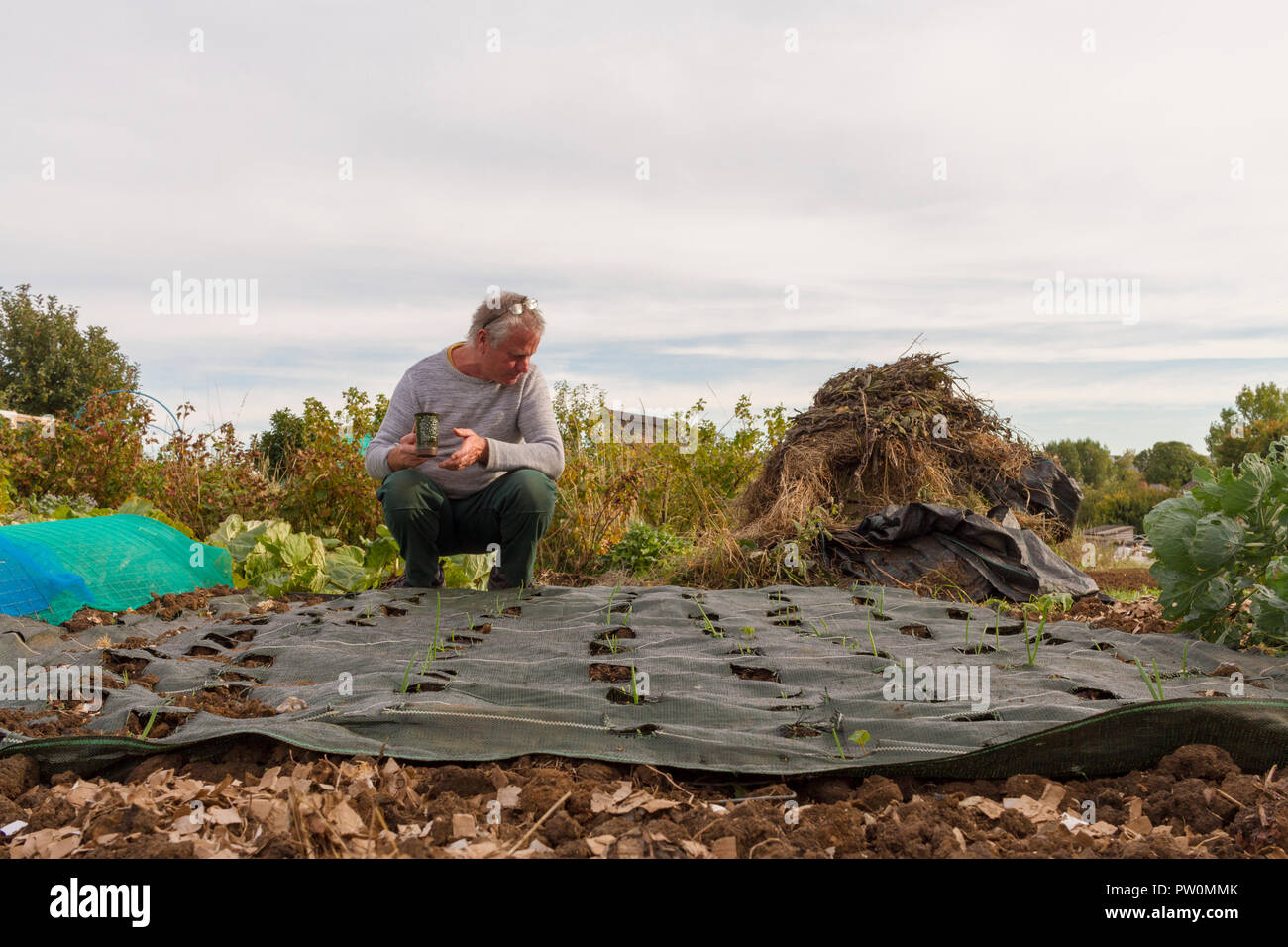 Tarpaulin weeds hires stock photography and images Alamy