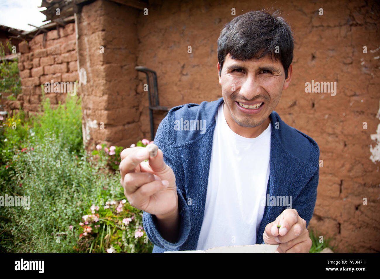 Potato  Manuel Choqque of Huatata near Chinchero, Peru. He has been breeding potatoes with high intensity of color, which signify higher nutrients. Stock Photo