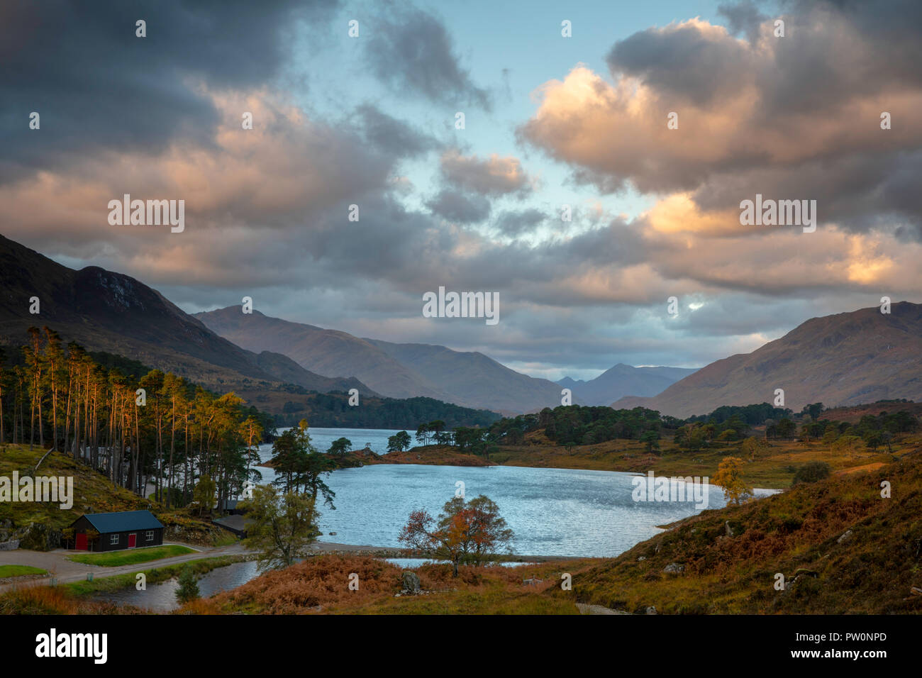 Scotland, Highlands, Glen Affric, View over Loch Affric from the western  end of Glen Affric towards Kintail Forest Stock Photo - Alamy
