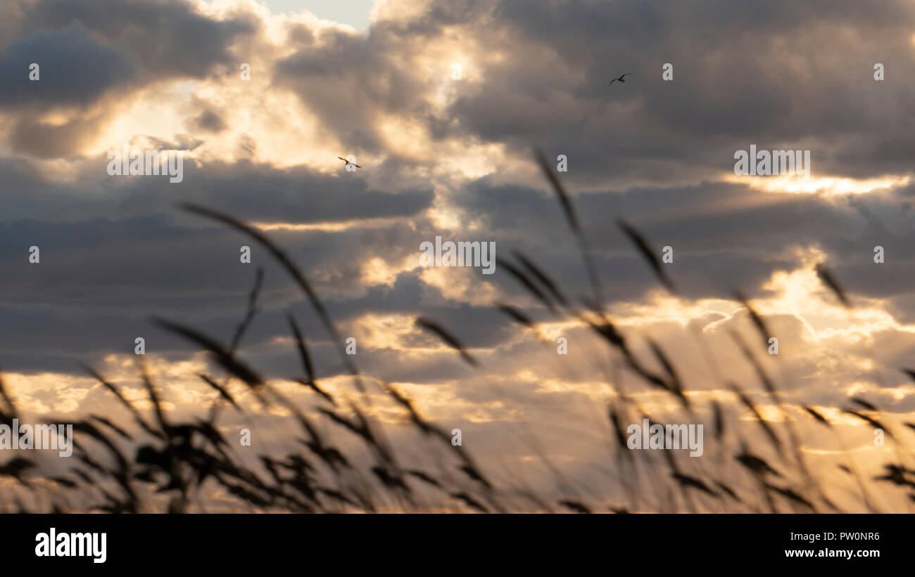 Sunset at Beach Stock Photo - Alamy