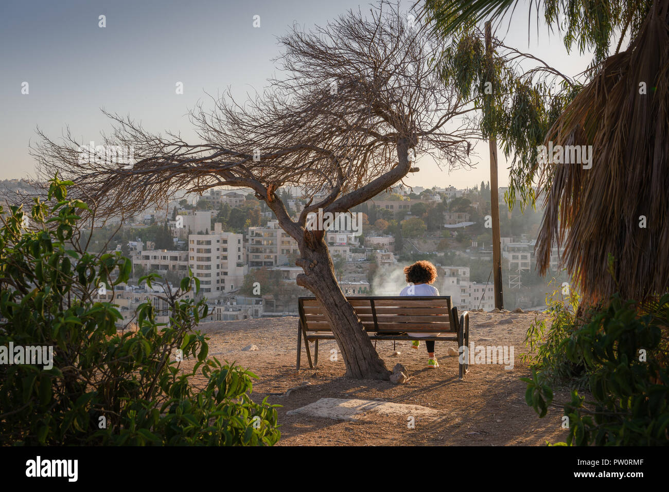 Amman, Jordan its Roman ruins in the middle of the ancient citadel park in the center of the city. Sunset on Skyline of Amman and old town of the city Stock Photo