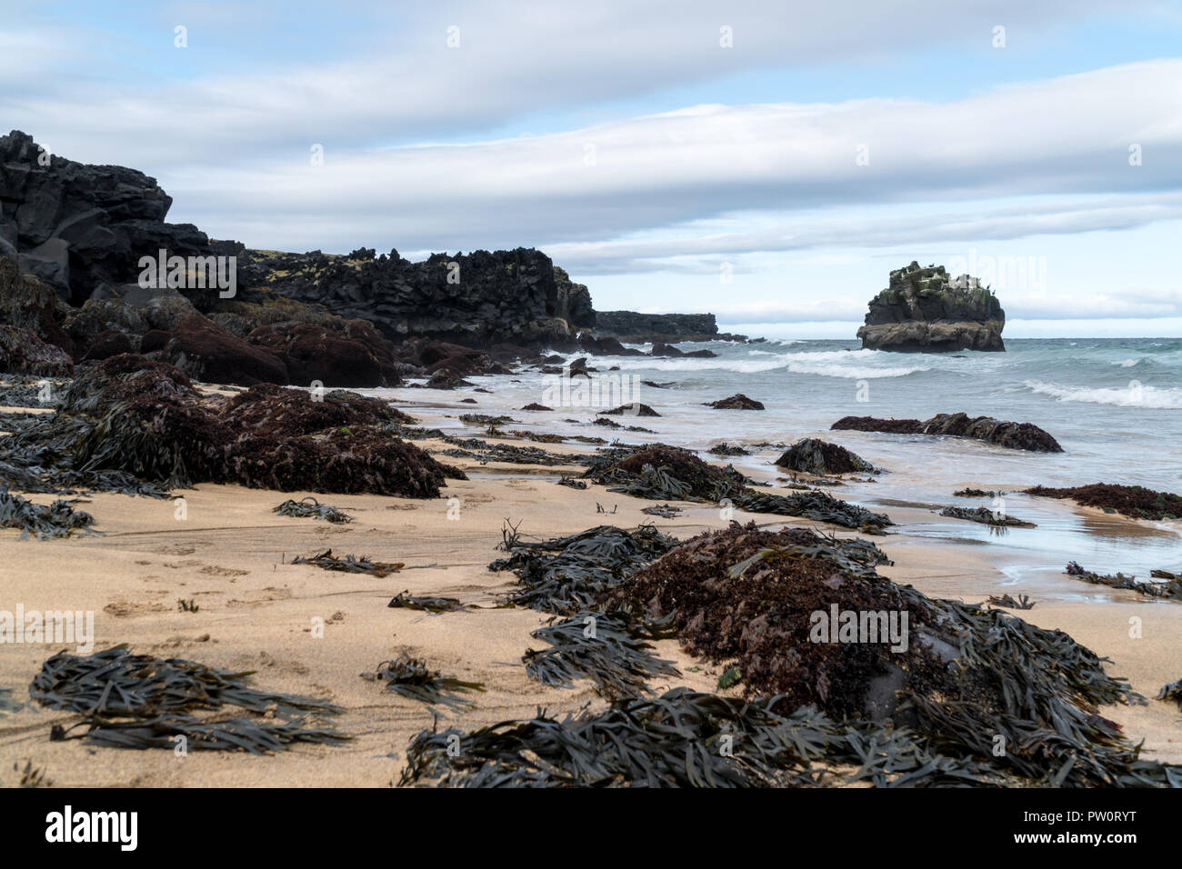 Rock in muddy water hi-res stock photography and images - Alamy
