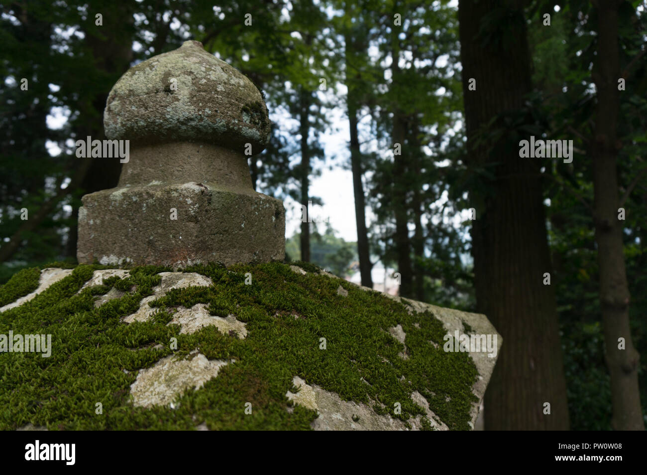 Old concrete pillar covered by moss with a forest in the background during summer time in Japan Stock Photo