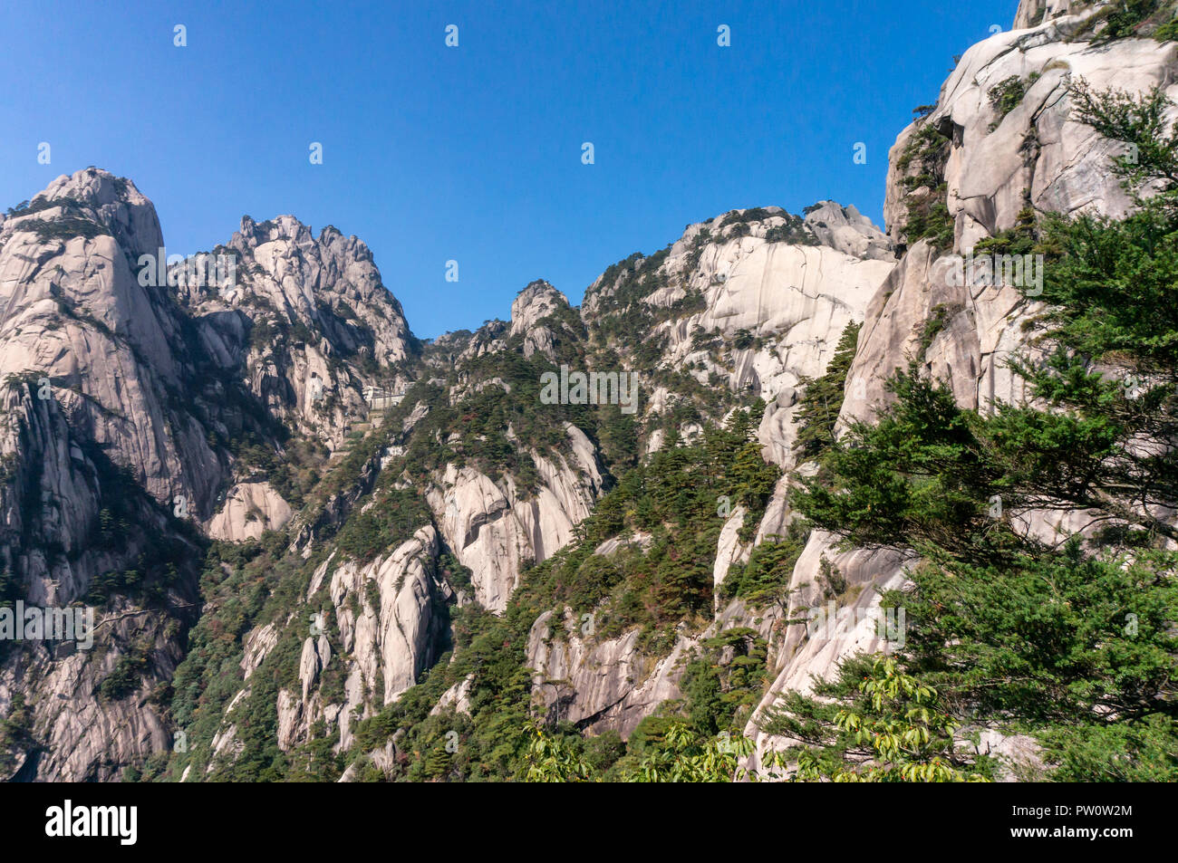 Oddly-shaped rocks on a foggy day during spring time. Landscape of the Huangshan Mountain in China Stock Photo