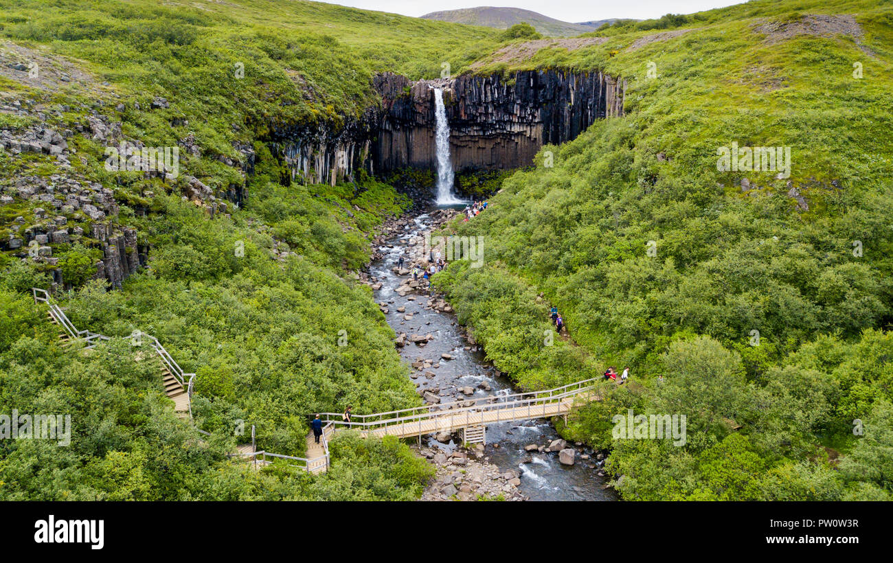 Svartifoss waterfall,  Skaftafell, Vatnajokull National Park, Iceland Stock Photo