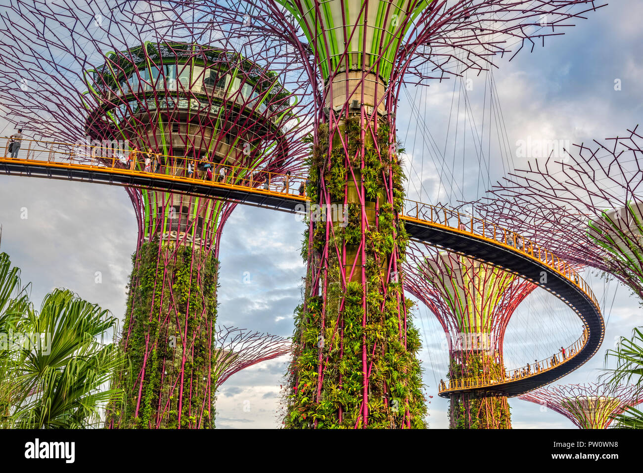 The Supertree Grove at Gardens by the Bay nature park, Singapore Stock Photo