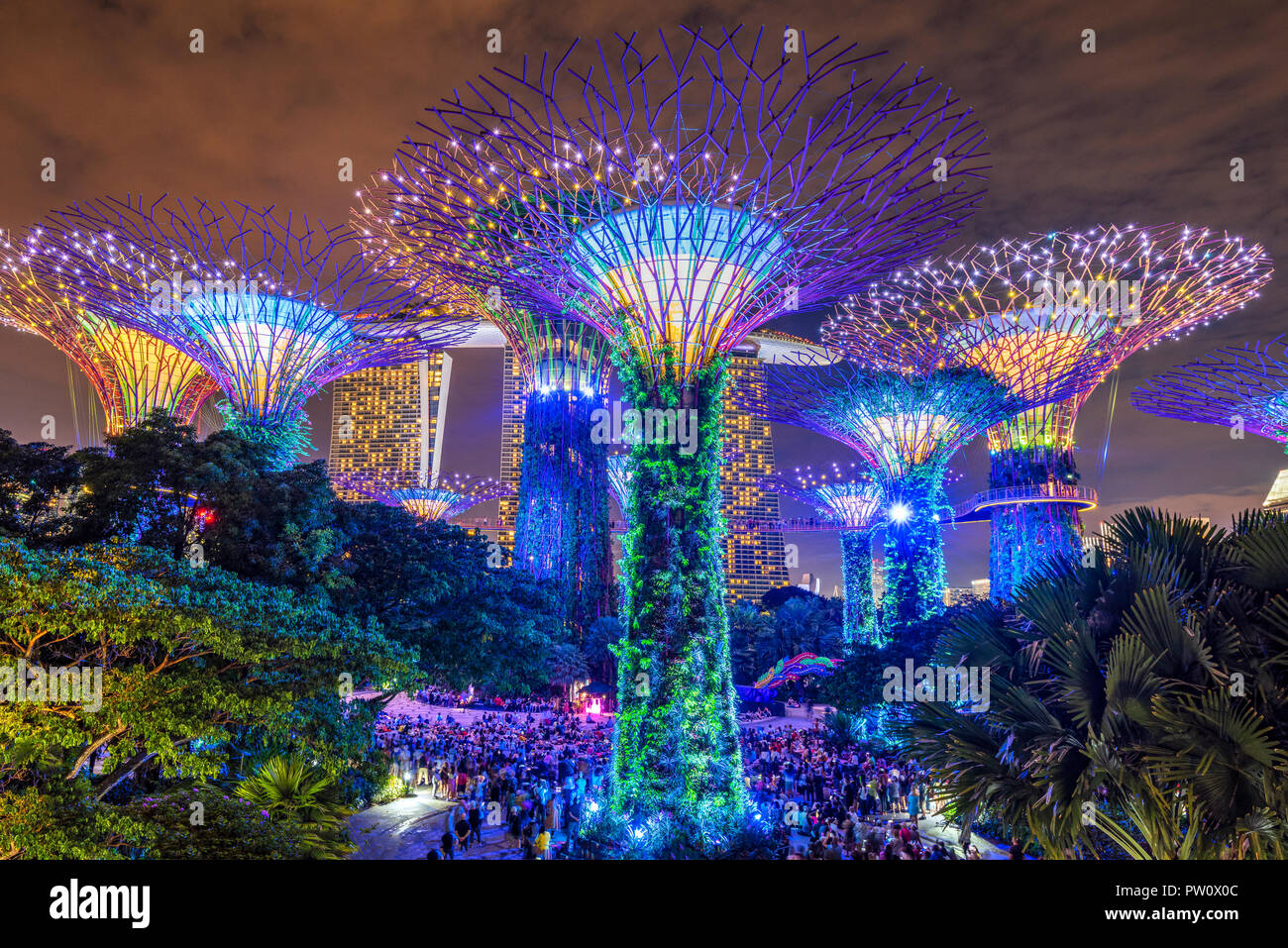 The Supertree Grove light show at Gardens by the Bay nature park, Singapore Stock Photo
