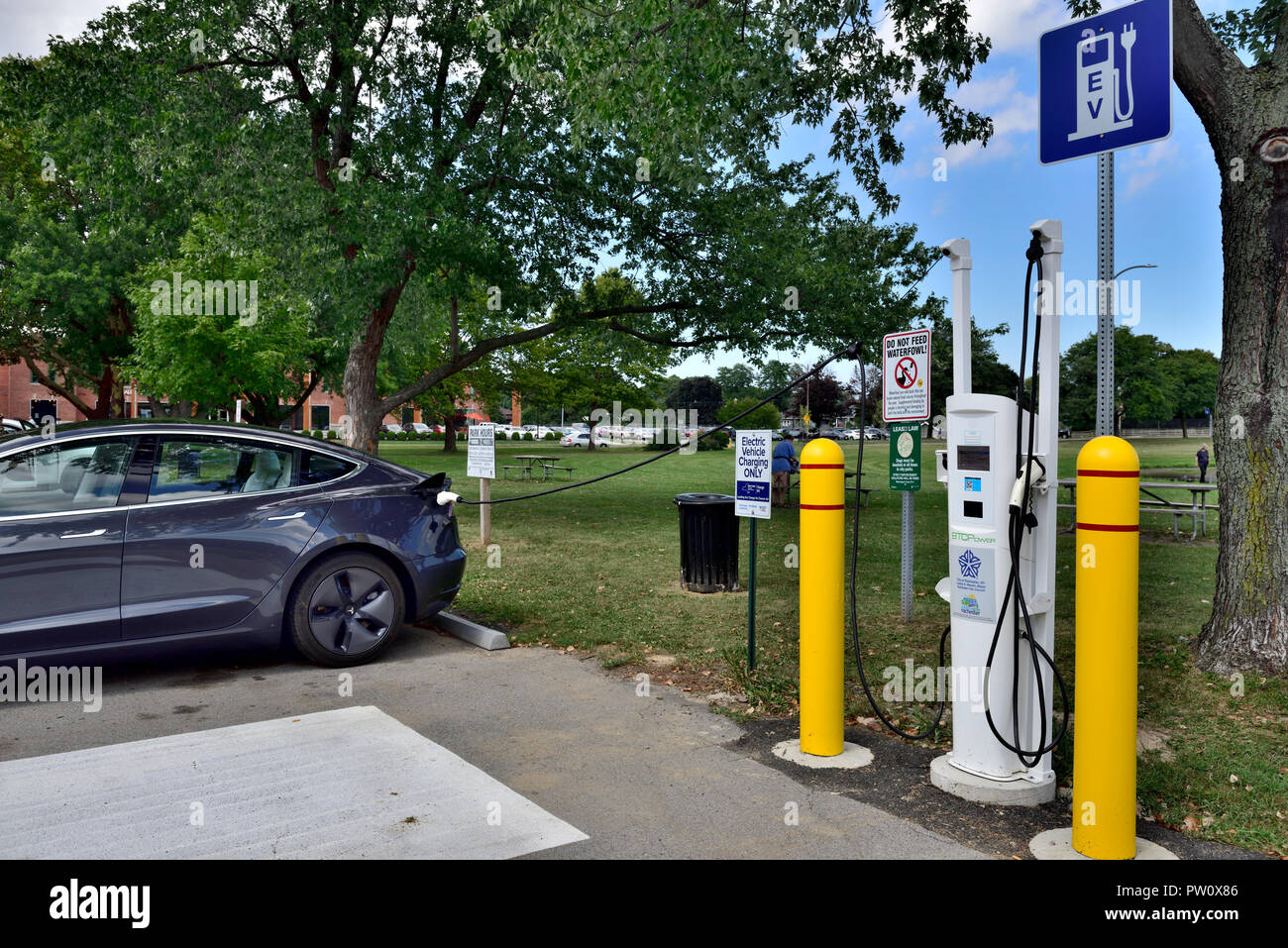 Public electric vehicle charging station with one car being charged in Cobb Hill Park, Rochester