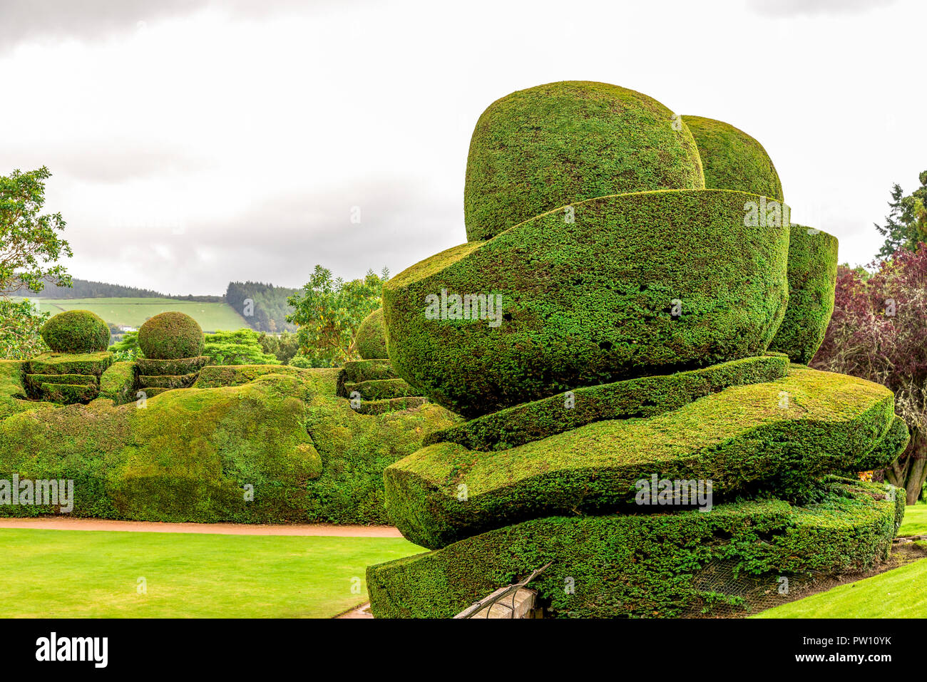 Giant landscaped plants cut by a gardener in Crathes Castle outside gardens, Aberdeenshire, Scotland Stock Photo