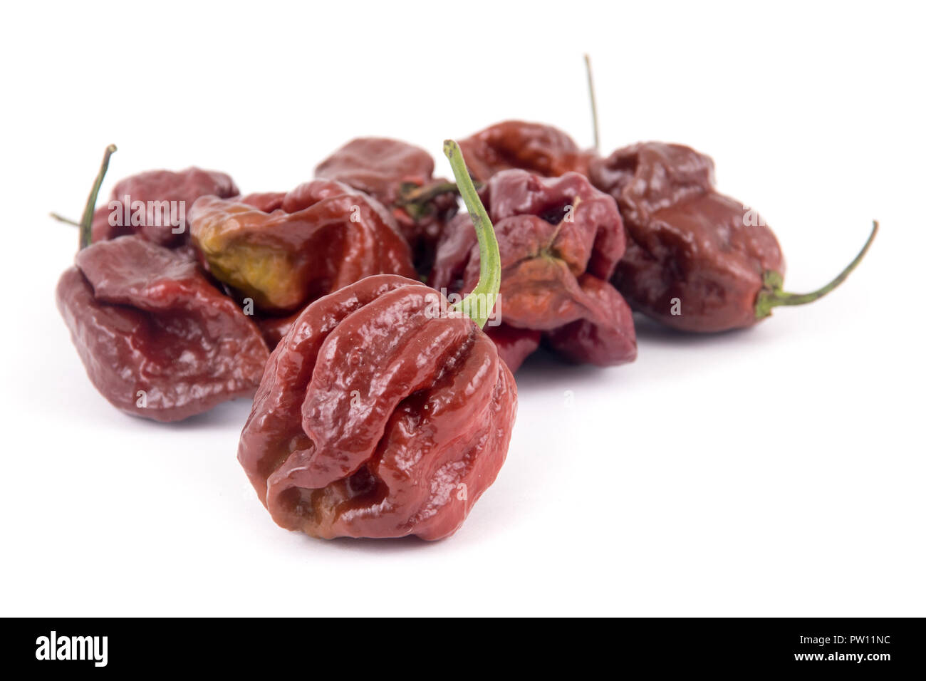 Trinidad Moruga Scorpion High Resolution Stock Photography And Images Alamy