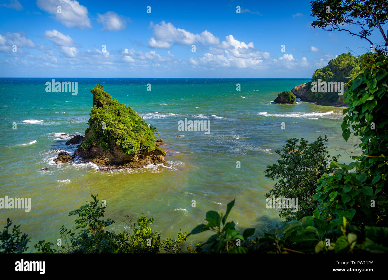 Isolated island in Dominica with beautiful green and blue water, paradise island with wild water waves at sea in the ocean Stock Photo