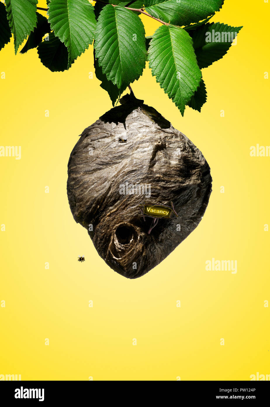 Disappearing bees hi-res stock photography and images - Alamy