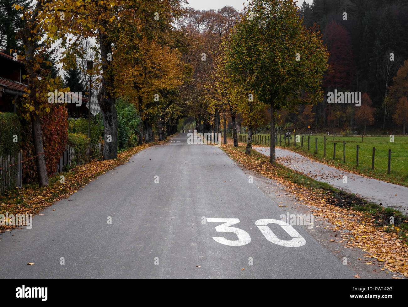 Road in a residential area near the bavarian town Fussen, in an autumnal scenery with the tall trees surrounding the street Stock Photo