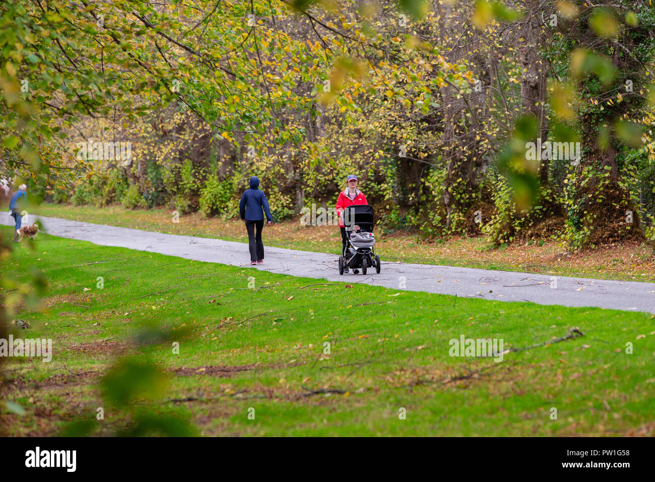 Celbridge, County Kildare, Ireland. 12th Oct, 2018: The aftermath of Storm Callum in the Castletown Park, Celbridge. Calm morning and couple of fallen branches but no major damage to the forestry. People out walking and jugging before the heavy rain foretasted for the afternoon as Storm Callum moves across Ireland. Credit: Michael Grubka/Alamy Live News Stock Photo
