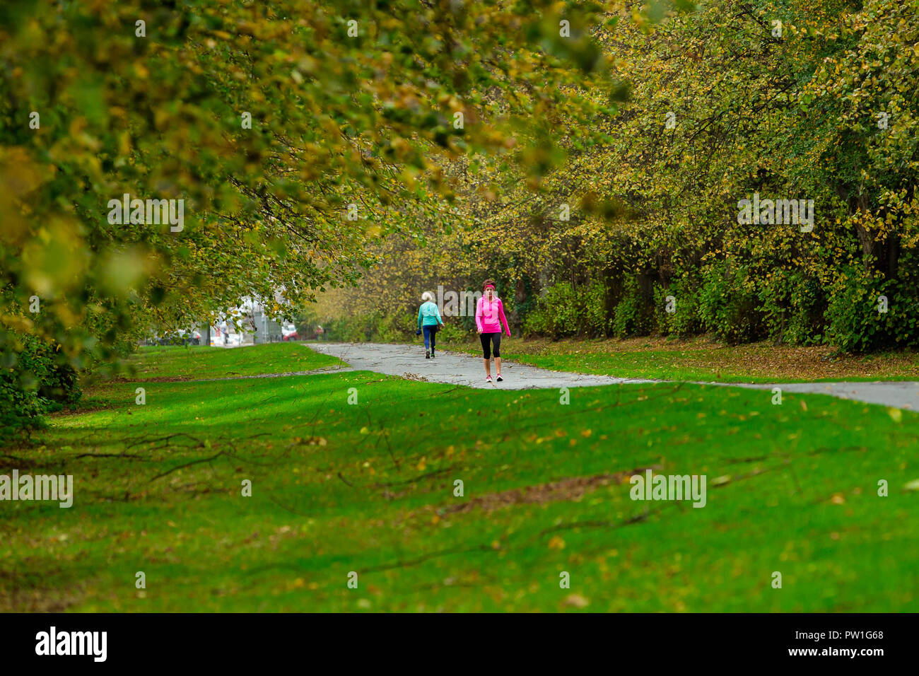 Celbridge, County Kildare, Ireland. 12th Oct, 2018: The aftermath of Storm Callum in the Castletown Park, Celbridge. Calm morning and couple of fallen branches but no major damage to the forestry. People out walking and jugging before the heavy rain foretasted for the afternoon as Storm Callum moves across Ireland. Credit: Michael Grubka/Alamy Live News Stock Photo