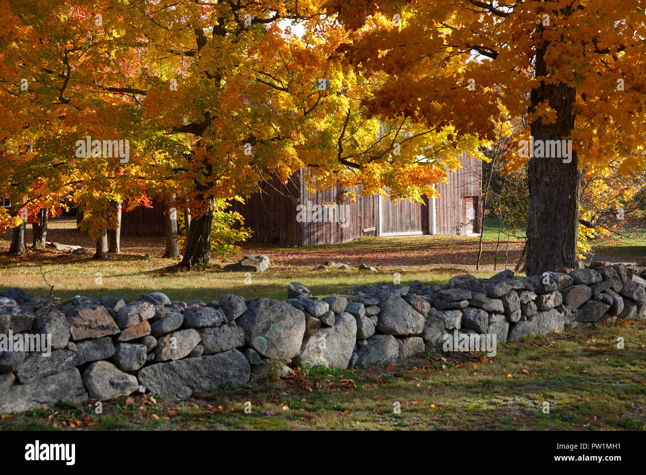 fall-foliage-new-hampshire-usa-stock-photo-alamy