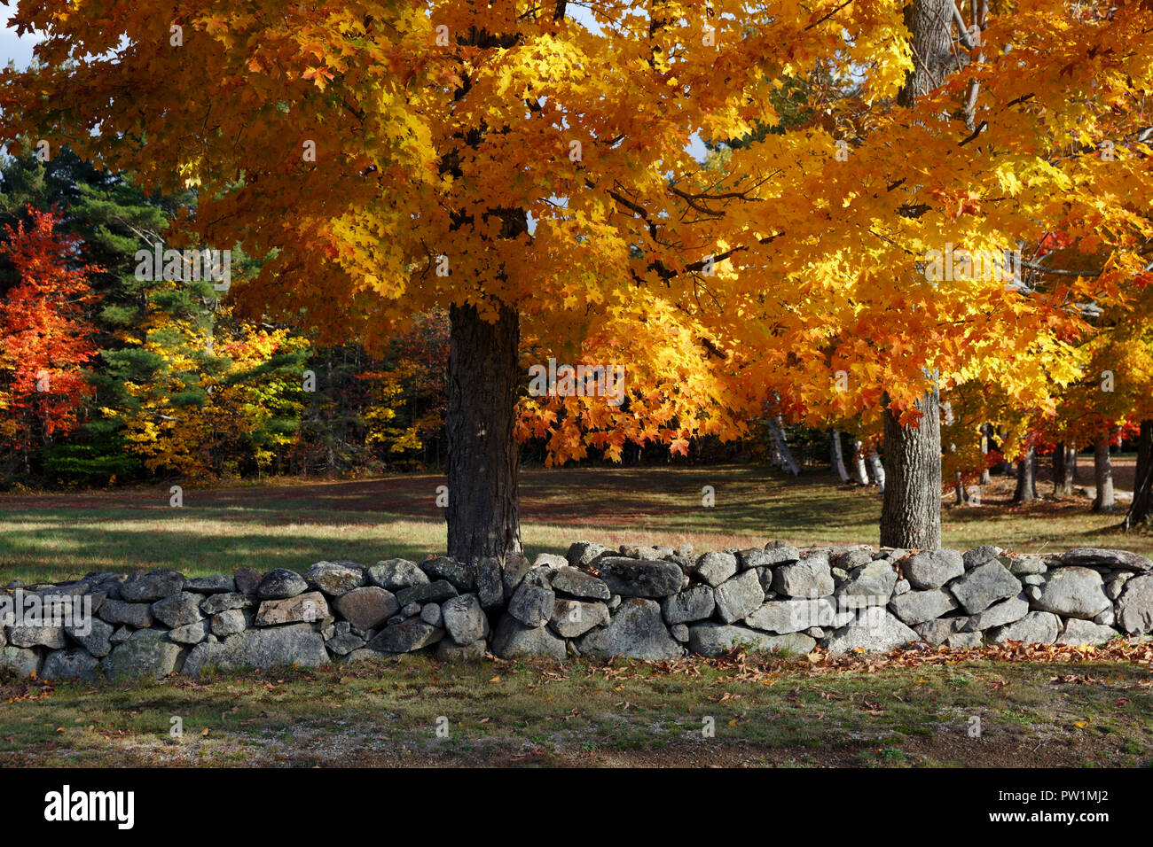 Fall Foliage, New Hampshire, USA Stock Photo - Alamy