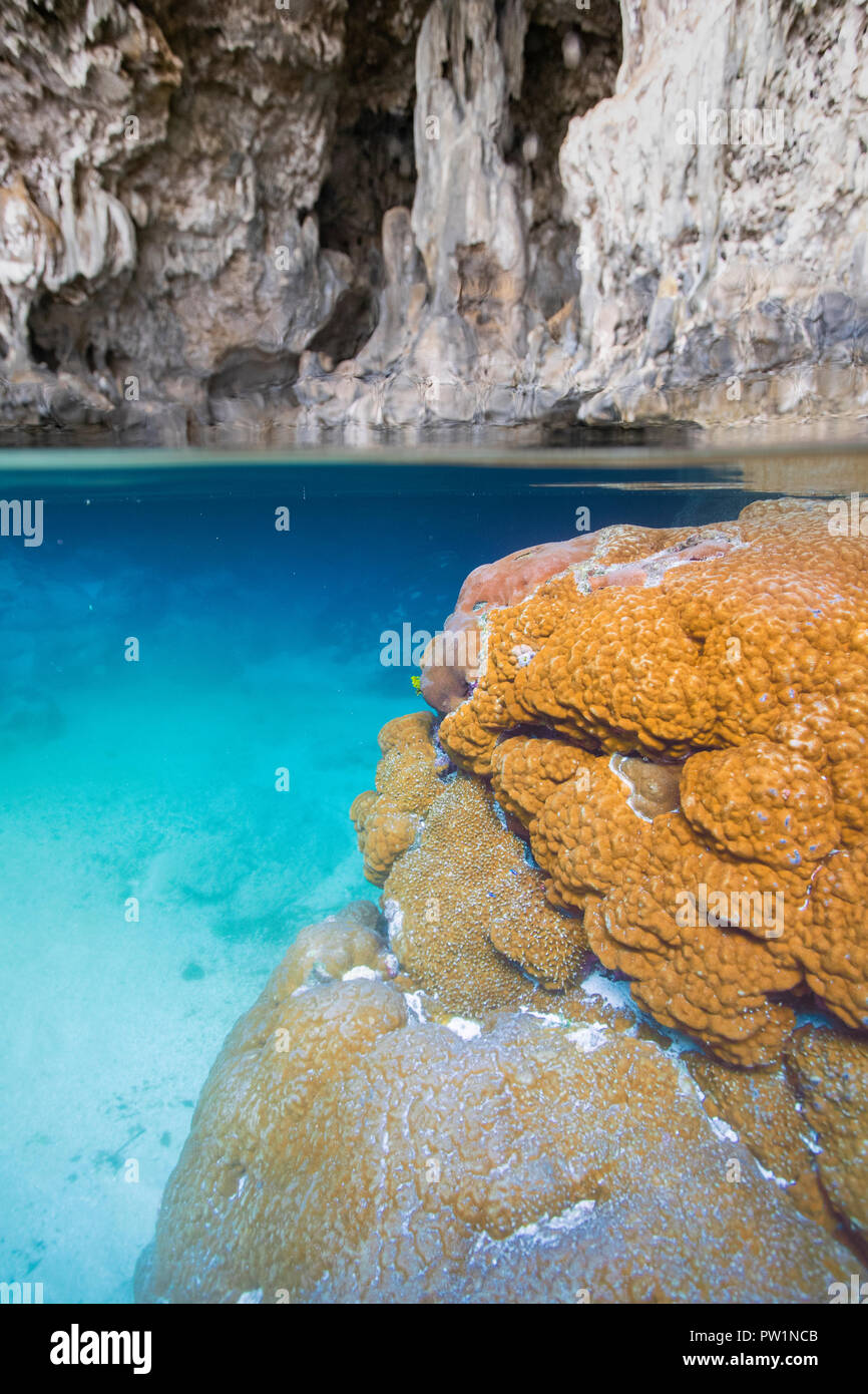 Underwater Photo of Avaiki Cave.This is a historical site where the first canoe landed, Niue Island, Niue. Stock Photo