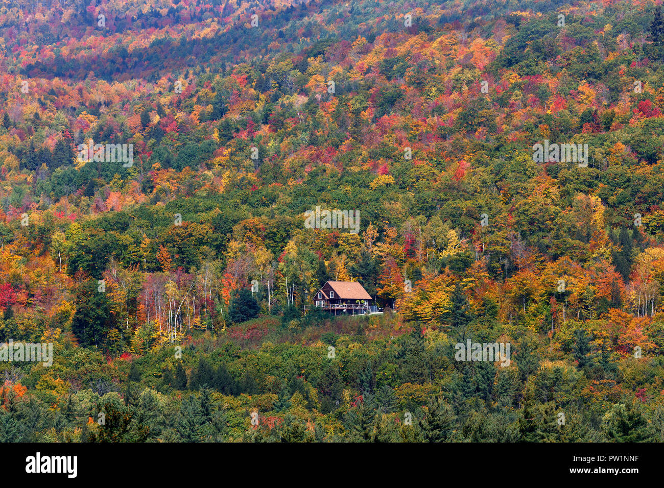 White mountain national forest hi-res stock photography and images - Alamy