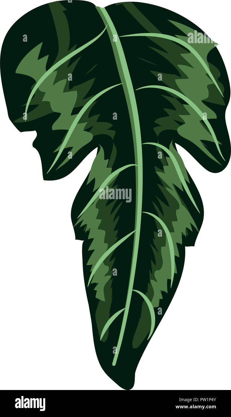 Plant leaf isolated Stock Vector Image & Art - Alamy