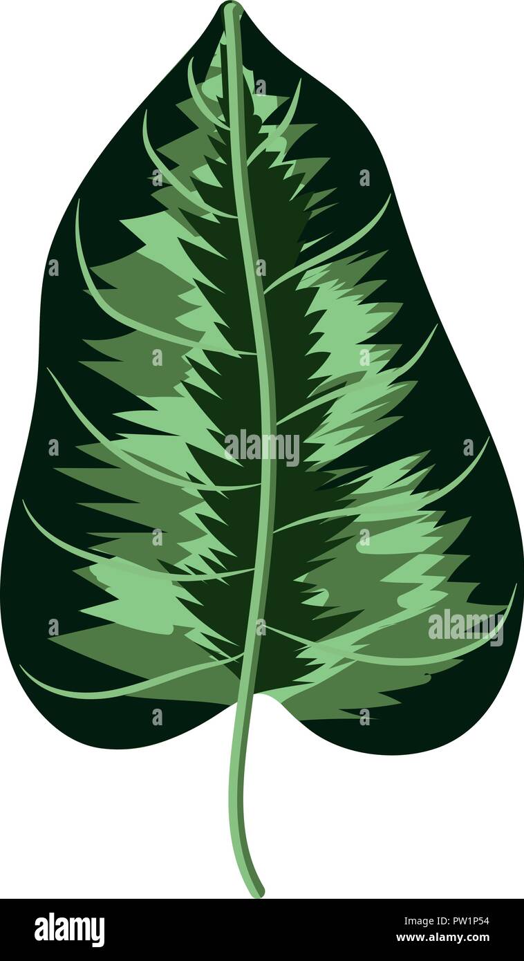 Plant leaf isolated Stock Vector Image & Art - Alamy