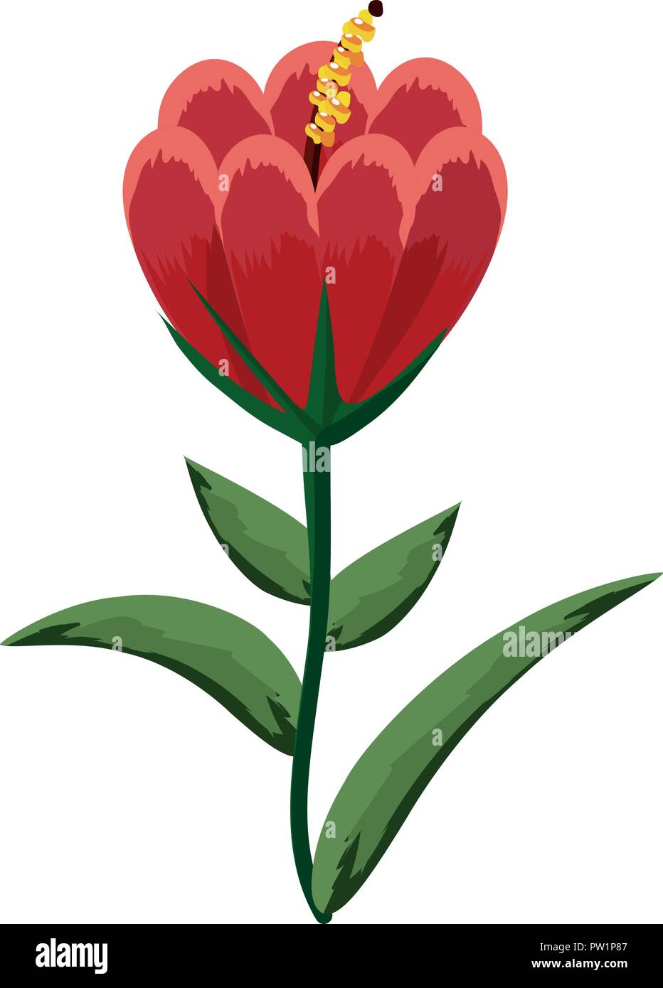 Flower plant isolated Stock Vector Image & Art - Alamy