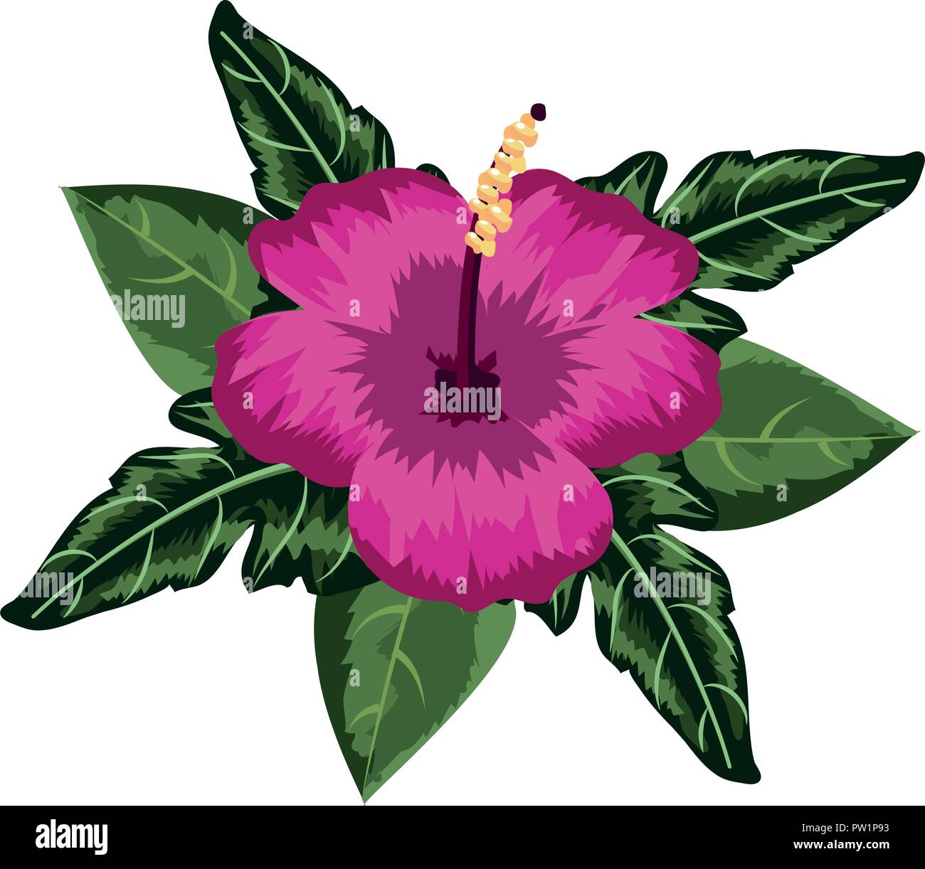 Flower plant isolated Stock Vector Image & Art - Alamy