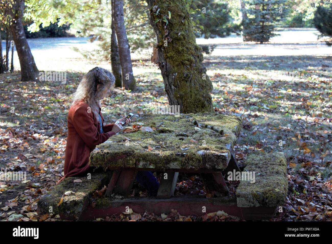 Texting on her iPhone, a woman sits at a moss covered picnic table. Stock Photo