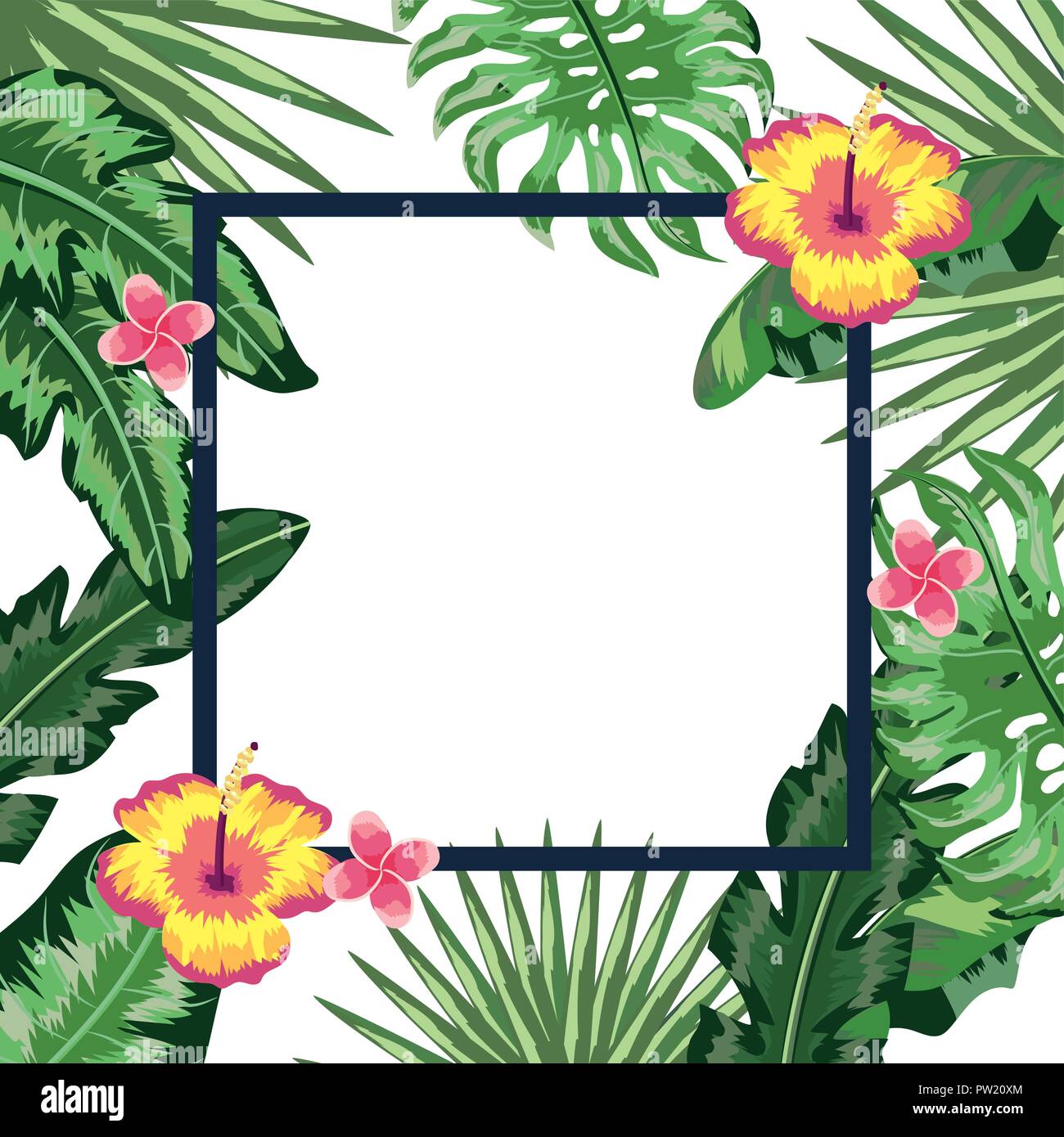 Tropical flowers frame Stock Vector Image & Art - Alamy