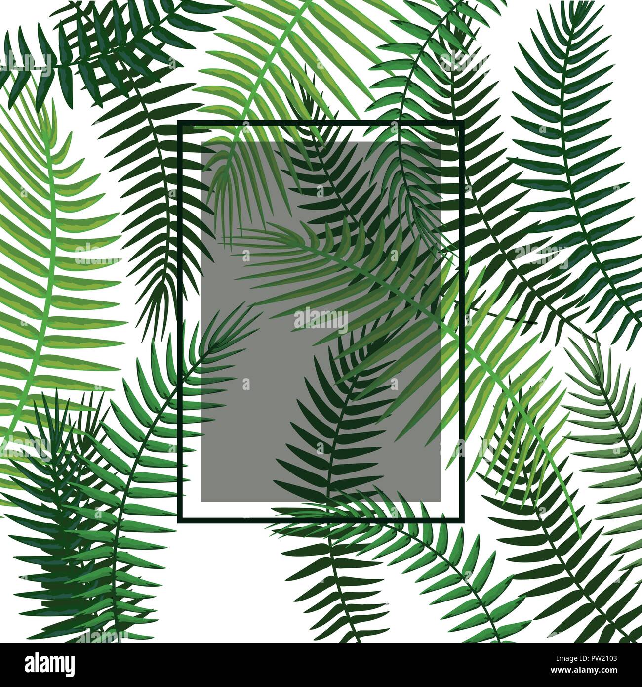 Tropical flowers frame Stock Vector Image & Art - Alamy