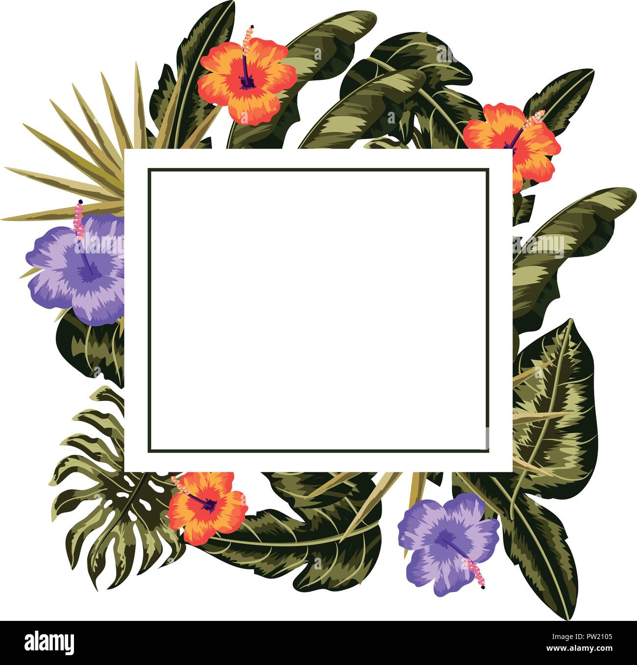 Tropical flowers frame Stock Vector Image & Art Alamy