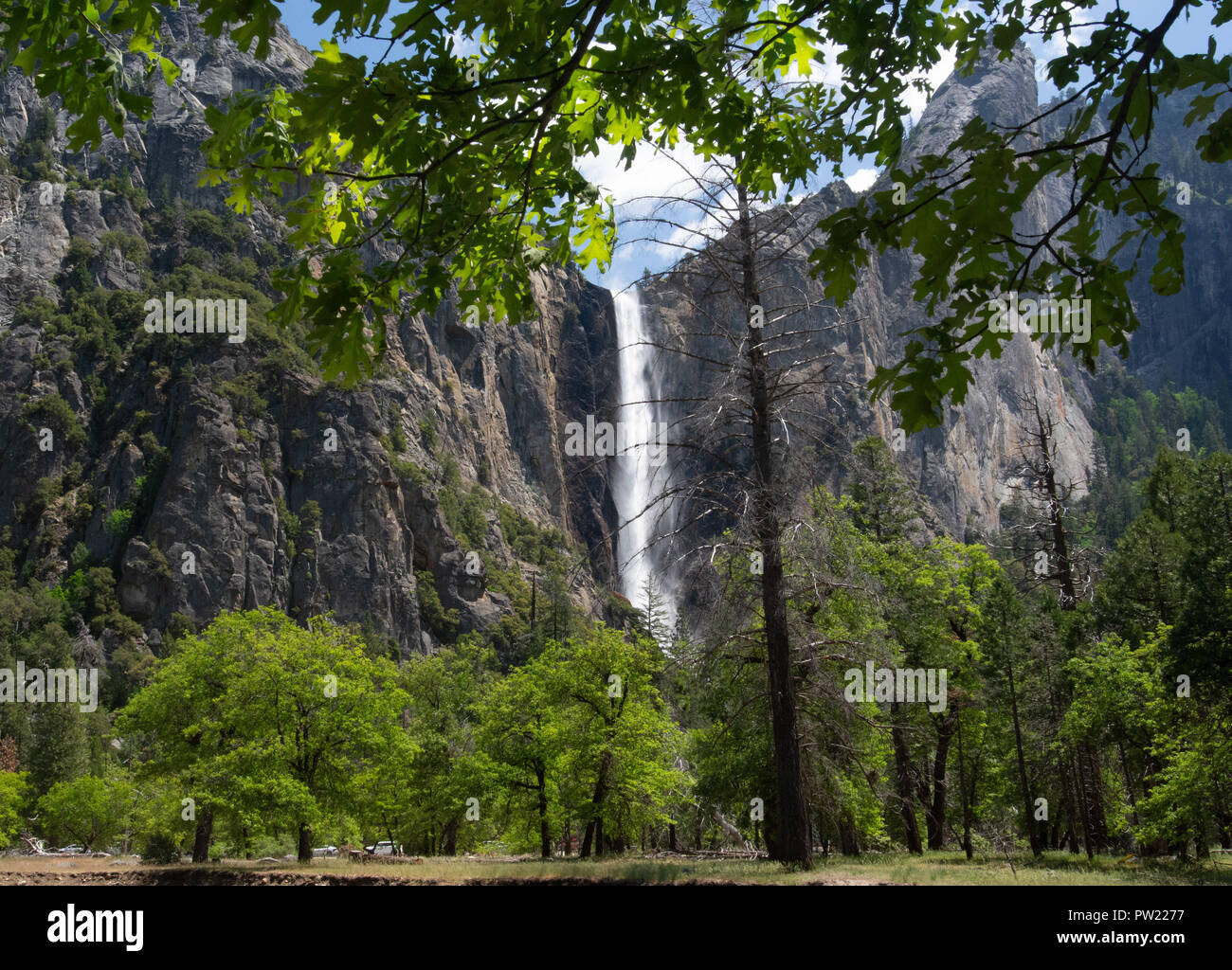 Photo Ancienne Yosemite - Bridal Veil Falls, Isaac West Taber, Tirage Albuminé 1880