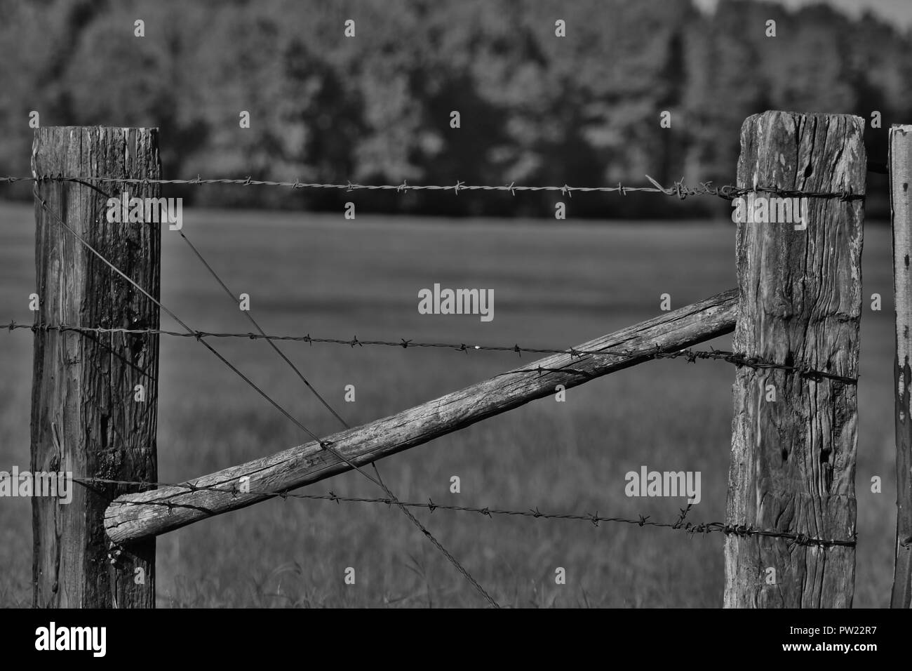 Corner of the hay field Stock Photo Alamy