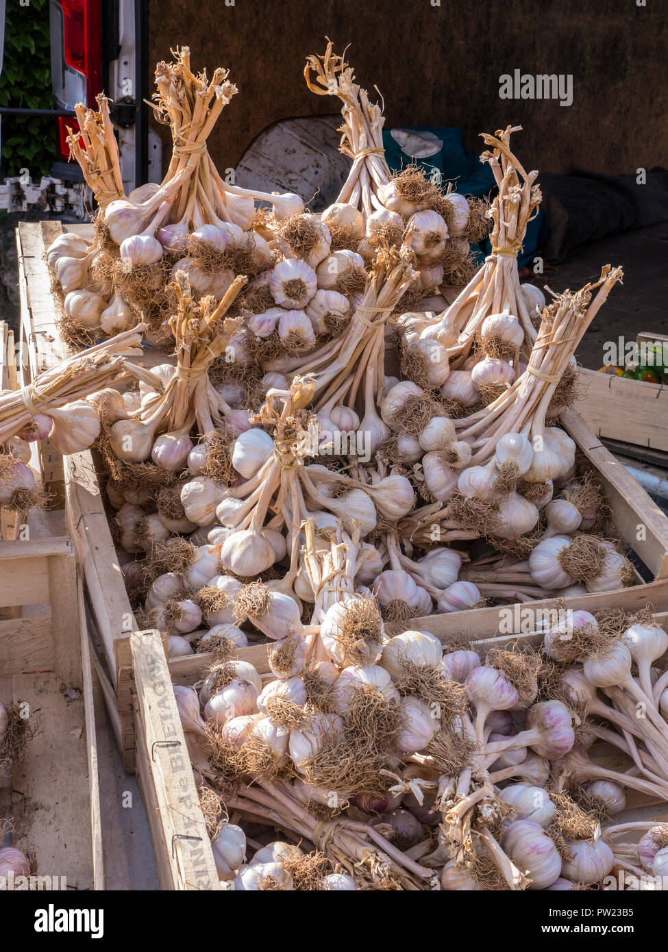 PINK ROSÉ GARLIC AIL LOCAL CONSERVATION MARKET Brittany local Moëlan sur Mer market rustic display conservation produce Brittany France Stock Photo