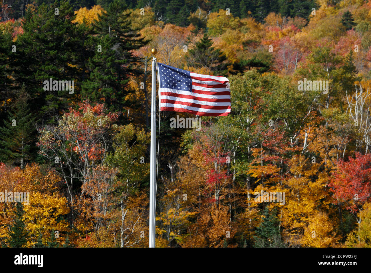 American flag fall autumn foliage Pinkham Notch, White Mountain