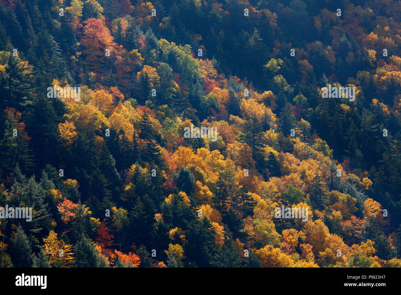 Crawford mountain hi-res stock photography and images - Alamy