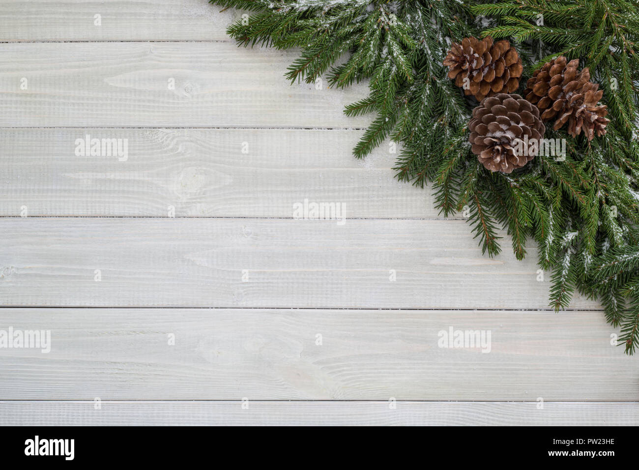 Christmas background with fir branches , cones and snow on white toned ...