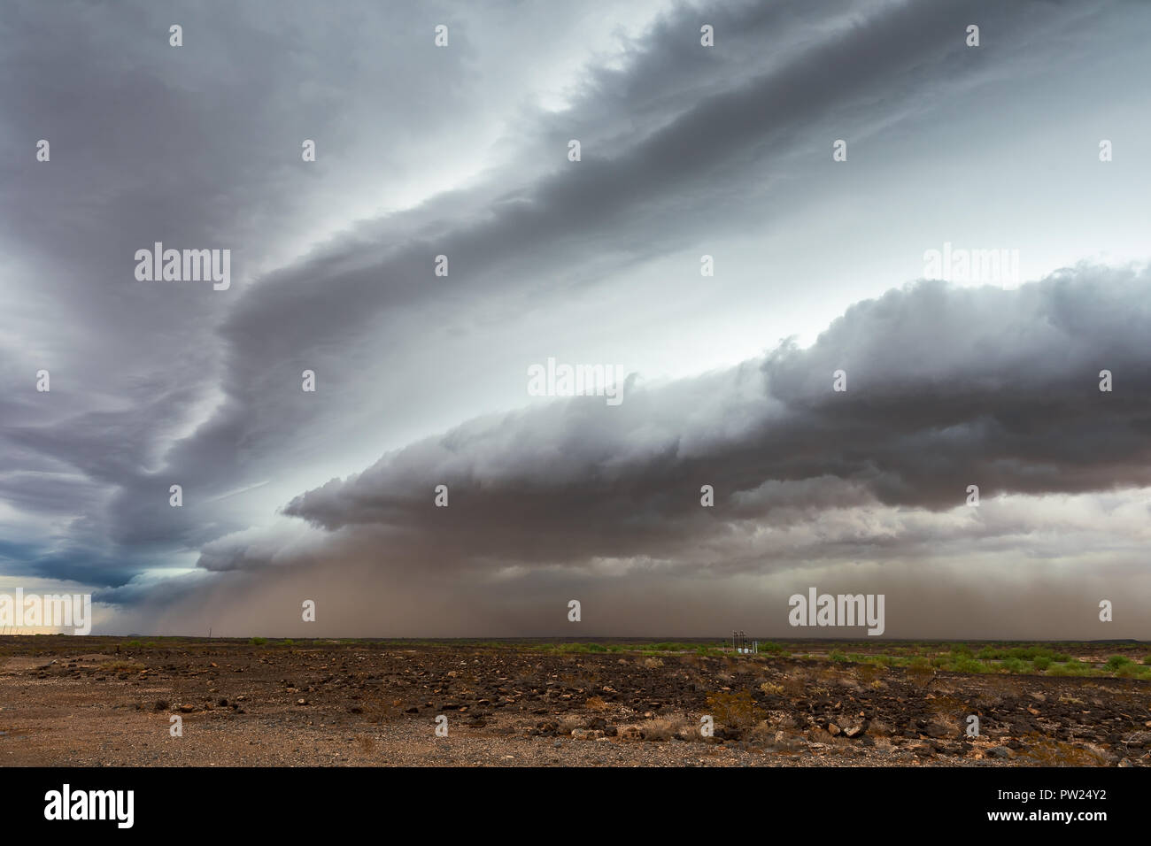 Shelf cloud and dust storm ahead of a line of thunderstorms in the Arizona desert Stock Photo