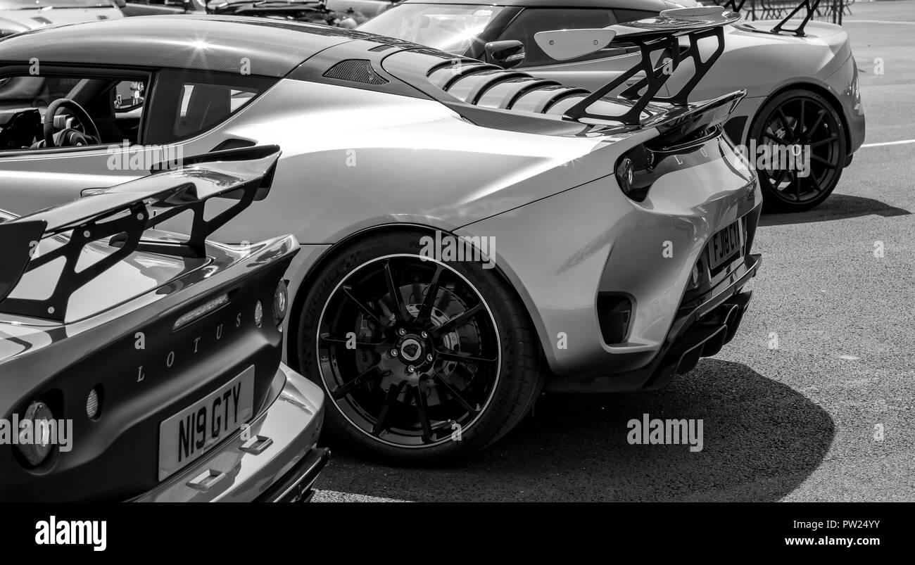 A row of Lotus sports cars Stock Photo Alamy