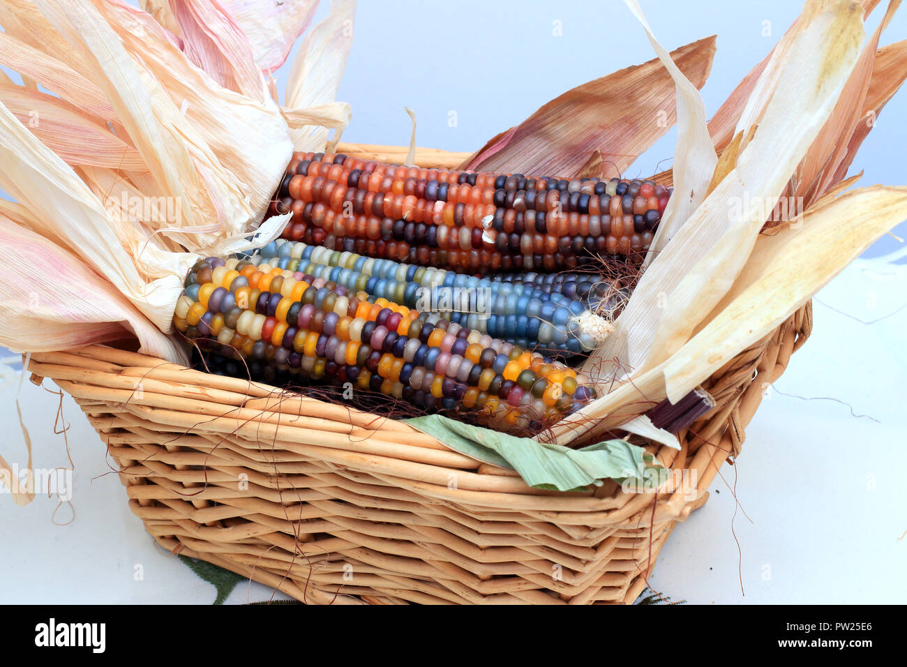 Glass Gem Corn in woven basket Stock Photo