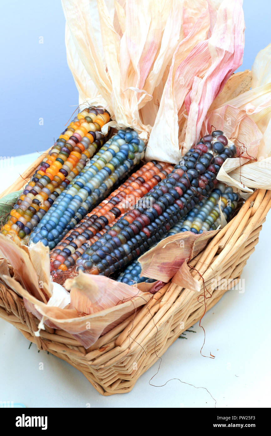 Glass Gem Corn in woven basket Stock Photo