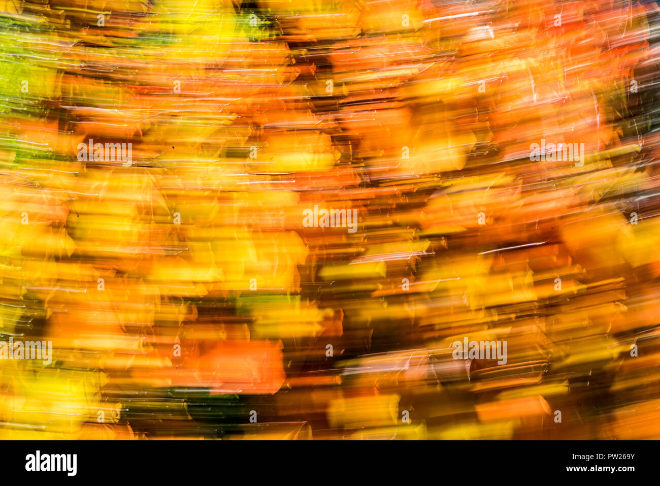 Abstract horizontal image of fall foliage in a swirl of brilliant color Stock Photo